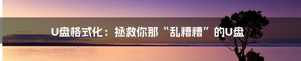 U盘格式化：拯救你那“乱糟糟”的U盘