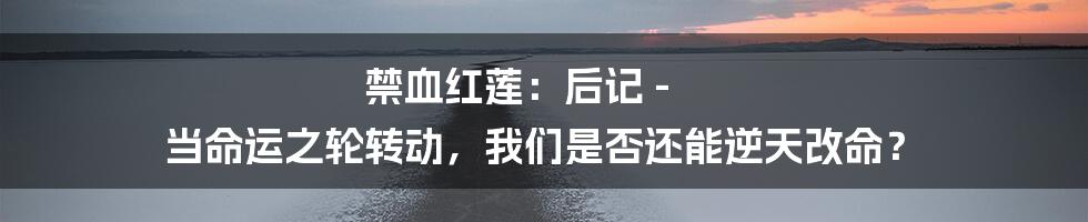 禁血红莲：后记 - 当命运之轮转动，我们是否还能逆天改命？