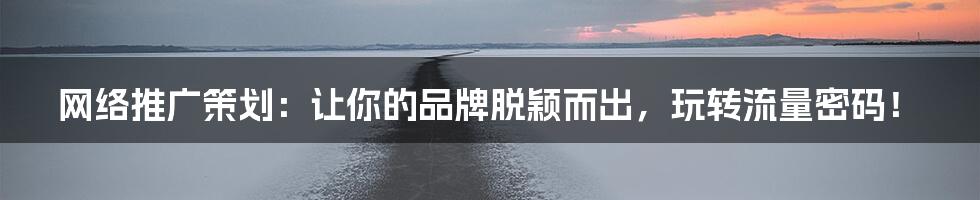 网络推广策划：让你的品牌脱颖而出，玩转流量密码！