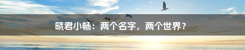 晓君小畅：两个名字，两个世界？