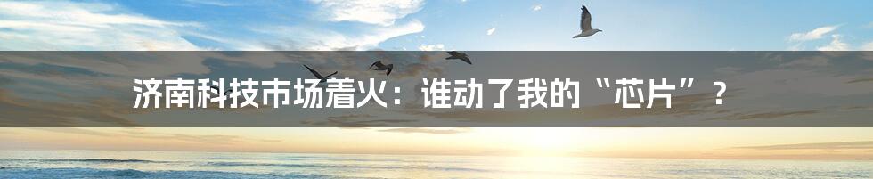 济南科技市场着火：谁动了我的“芯片”？