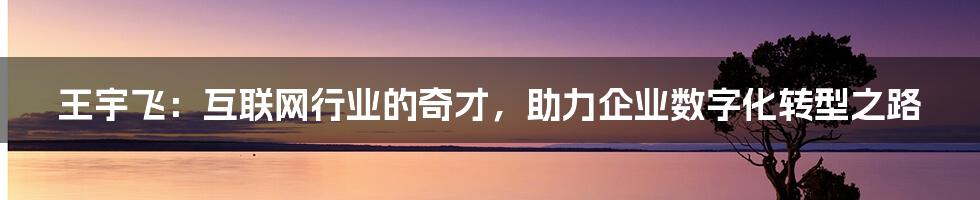 王宇飞：互联网行业的奇才，助力企业数字化转型之路