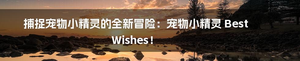 捕捉宠物小精灵的全新冒险：宠物小精灵 Best Wishes！