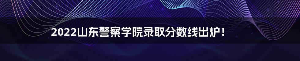 2022山东警察学院录取分数线出炉！