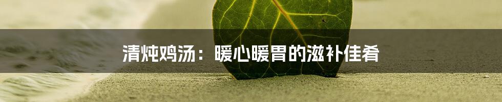 清炖鸡汤：暖心暖胃的滋补佳肴