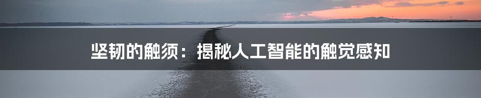 坚韧的触须：揭秘人工智能的触觉感知