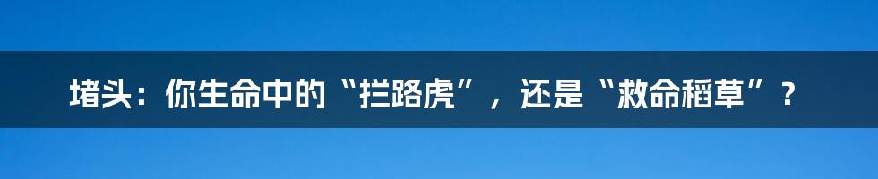 堵头：你生命中的“拦路虎”，还是“救命稻草”？