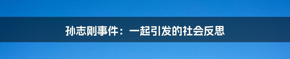 孙志刚事件：一起引发的社会反思