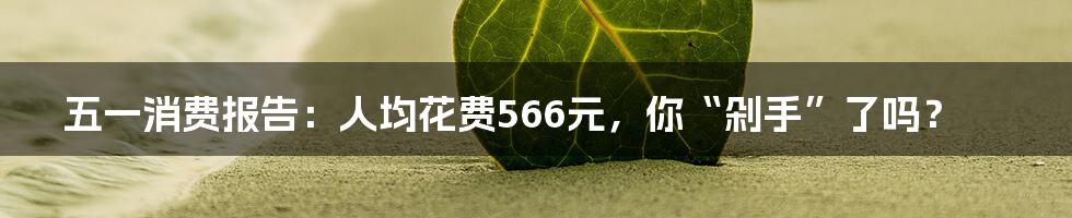 五一消费报告：人均花费566元，你“剁手”了吗？