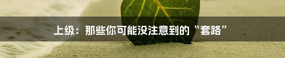 上级：那些你可能没注意到的“套路”