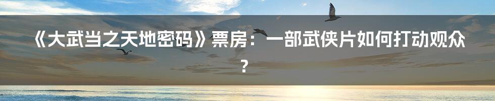 《大武当之天地密码》票房：一部武侠片如何打动观众？