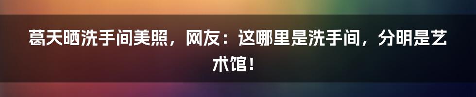 葛天晒洗手间美照，网友：这哪里是洗手间，分明是艺术馆！