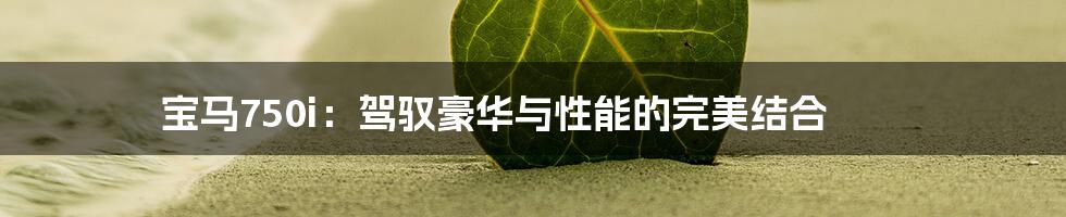 宝马750i：驾驭豪华与性能的完美结合