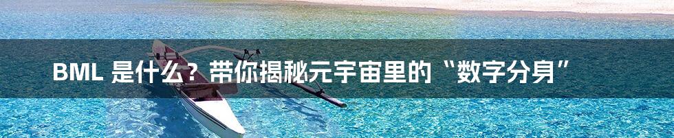 BML 是什么？带你揭秘元宇宙里的“数字分身”