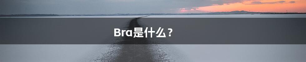 Bra是什么？