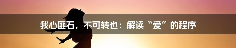 我心匪石，不可转也：解读“爱”的程序