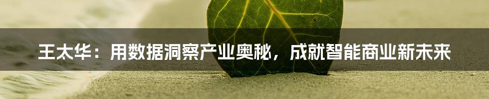 王太华：用数据洞察产业奥秘，成就智能商业新未来