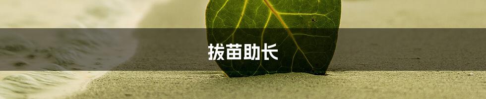 拔苗助长