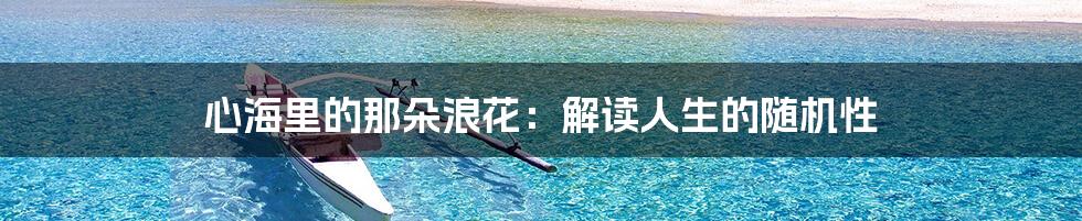 心海里的那朵浪花：解读人生的随机性