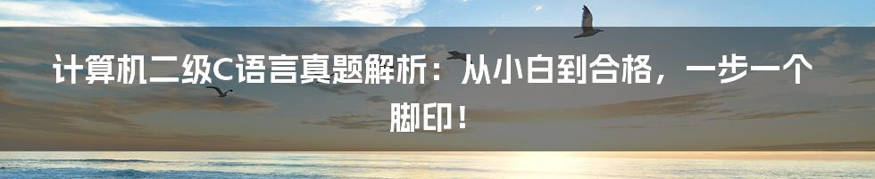 计算机二级C语言真题解析：从小白到合格，一步一个脚印！