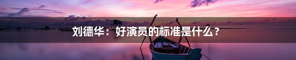 刘德华：好演员的标准是什么？