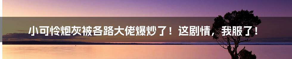 小可怜炮灰被各路大佬爆炒了！这剧情，我服了！