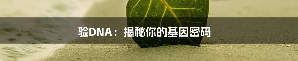 验DNA：揭秘你的基因密码