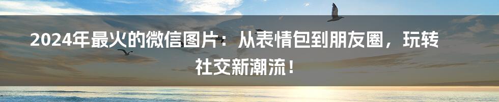 2024年最火的微信图片：从表情包到朋友圈，玩转社交新潮流！