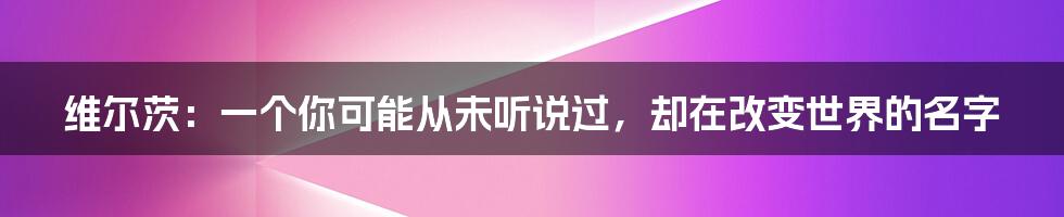 维尔茨：一个你可能从未听说过，却在改变世界的名字