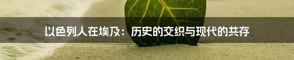 以色列人在埃及：历史的交织与现代的共存