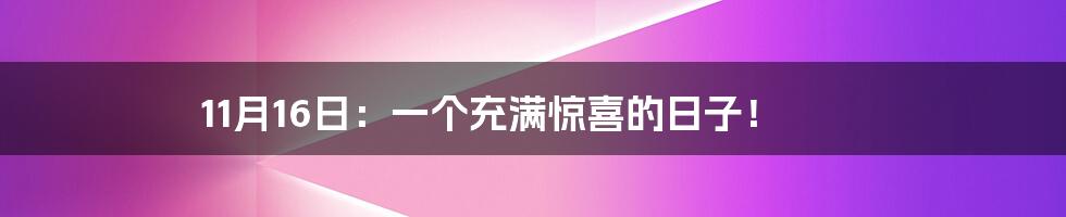 11月16日：一个充满惊喜的日子！