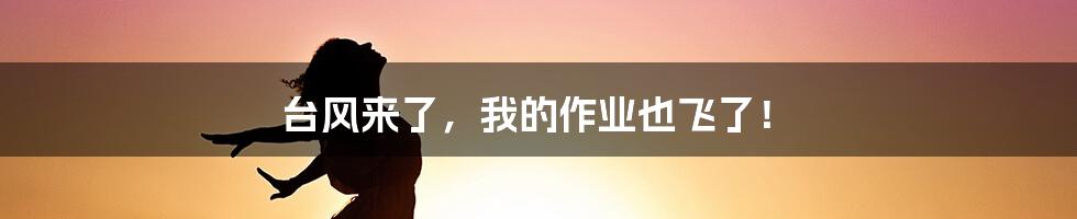 台风来了，我的作业也飞了！