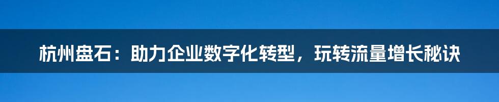 杭州盘石：助力企业数字化转型，玩转流量增长秘诀