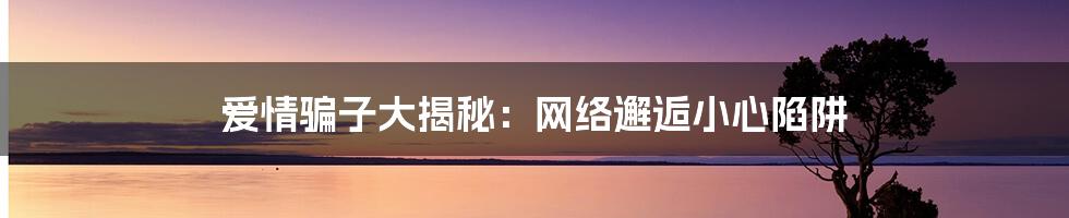 爱情骗子大揭秘：网络邂逅小心陷阱