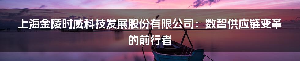 上海金陵时威科技发展股份有限公司：数智供应链变革的前行者