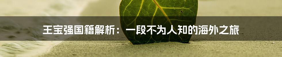 王宝强国籍解析：一段不为人知的海外之旅