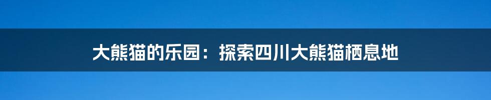 大熊猫的乐园：探索四川大熊猫栖息地