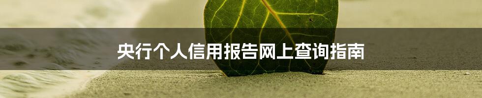 央行个人信用报告网上查询指南