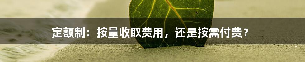 定额制：按量收取费用，还是按需付费？