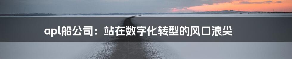 apl船公司：站在数字化转型的风口浪尖