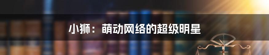 小狮：萌动网络的超级明星