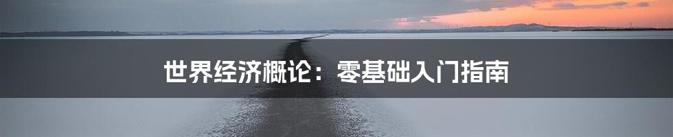 世界经济概论：零基础入门指南