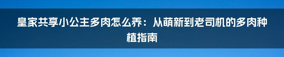 皇家共享小公主多肉怎么养：从萌新到老司机的多肉种植指南