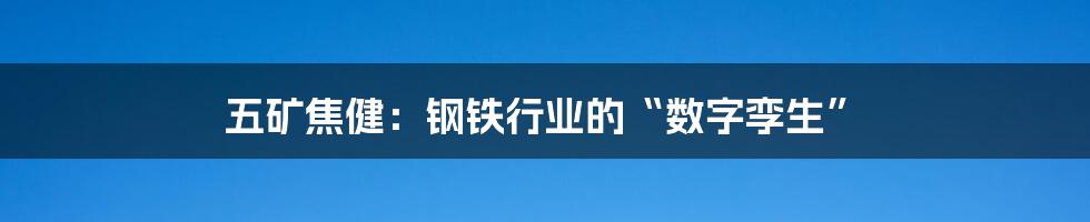 五矿焦健：钢铁行业的“数字孪生”