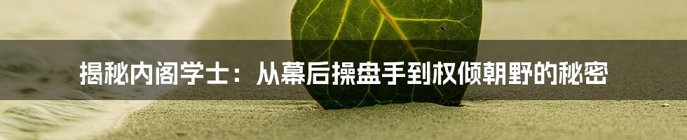 揭秘内阁学士：从幕后操盘手到权倾朝野的秘密