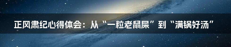 正风肃纪心得体会：从“一粒老鼠屎”到“满锅好汤”