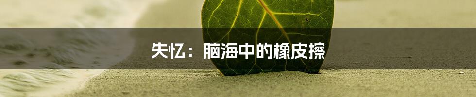 失忆：脑海中的橡皮擦