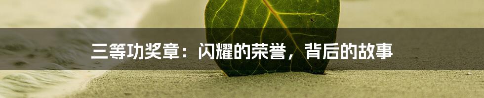 三等功奖章：闪耀的荣誉，背后的故事