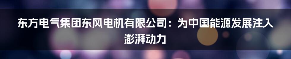 东方电气集团东风电机有限公司：为中国能源发展注入澎湃动力