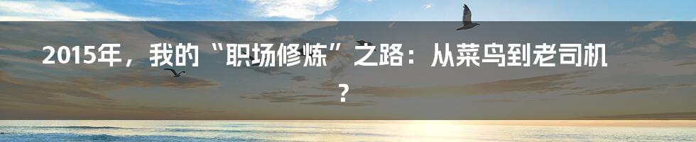 2015年，我的“职场修炼”之路：从菜鸟到老司机？